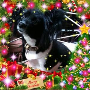 Meet your Posher, Beverly